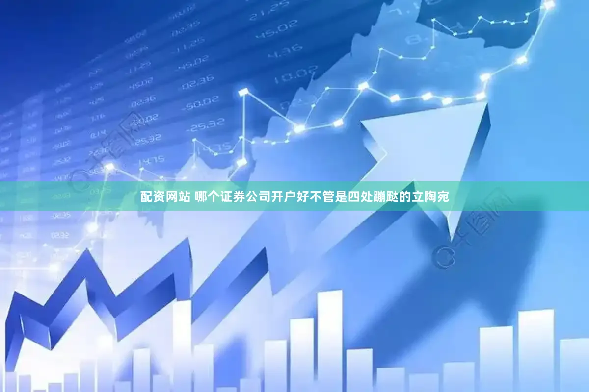 配资网站 哪个证券公司开户好不管是四处蹦跶的立陶宛