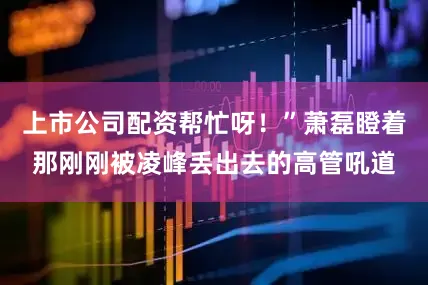 上市公司配资帮忙呀！”萧磊瞪着那刚刚被凌峰丢出去的高管吼道