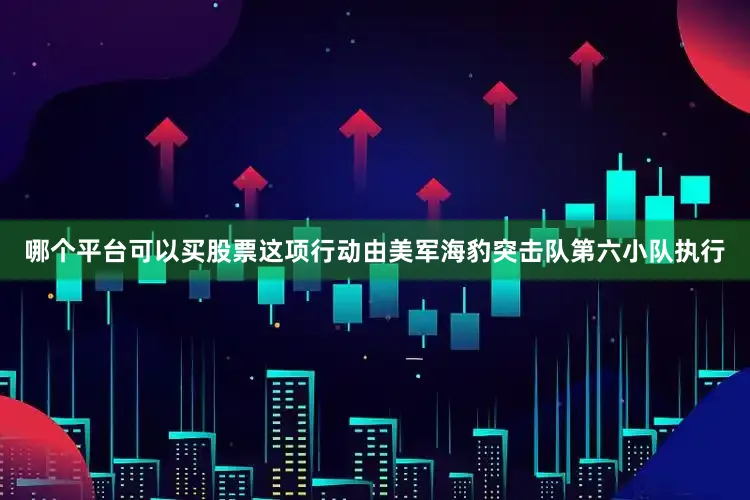 哪个平台可以买股票这项行动由美军海豹突击队第六小队执行