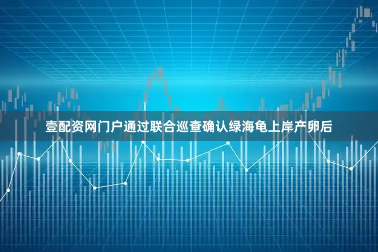 壹配资网门户通过联合巡查确认绿海龟上岸产卵后
