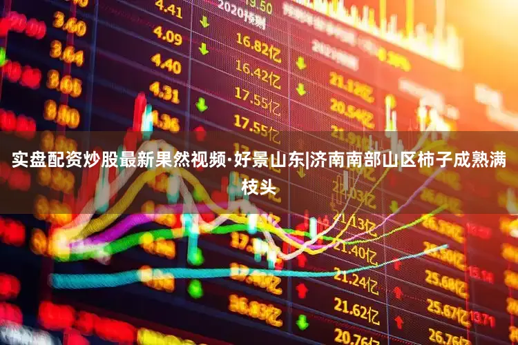 实盘配资炒股最新果然视频·好景山东|济南南部山区柿子成熟满枝头